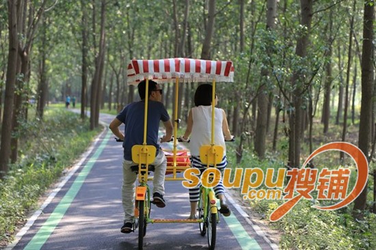 合肥滨湖湿地公园怎么玩 游树上主题乐园探险