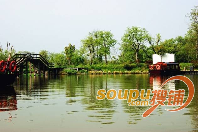 合肥滨湖湿地公园怎么玩 游树上主题乐园探险赏春