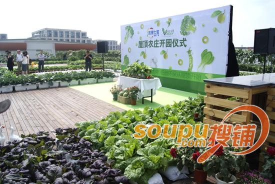 屋顶新玩法!原来中国商业地产巨头离天空如此