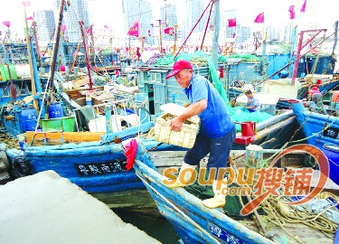青岛本地海鲜被鱼贩承包转手供给酒店市场暂缺