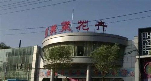 沈阳中街婚纱一条街_沈阳中街图片(3)