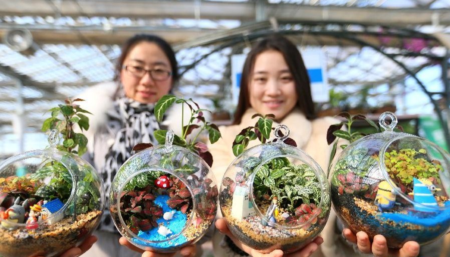 即墨大学生创客团队制作微景观 产品迎来销售