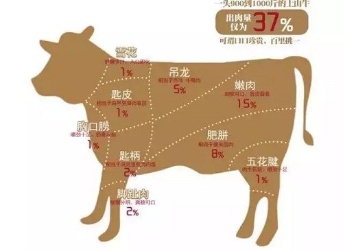 潮汕地区总人口_你原来不知道潮汕地区客家人这么多