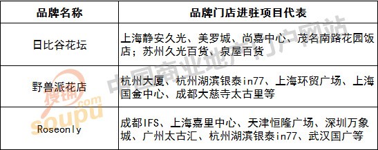 这三家店做火超千亿消费市场逐渐受项目青睐 联商网